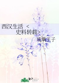 《西汉生活》