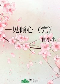 《一见倾心(完)》