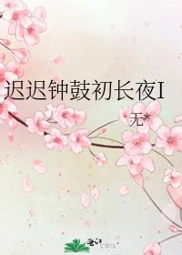 《迟迟钟鼓初长夜I》