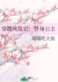 《穿越埃及记:替身公主》