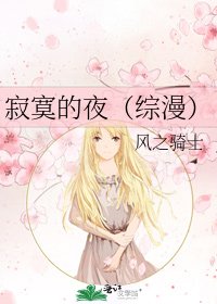 《寂寞的夜(综漫)》