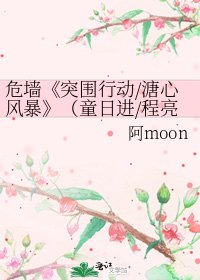 《突围行动/溏心风暴》