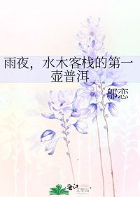 《雨夜,水木客栈的第一壶普洱》