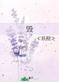 毁