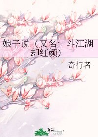 《娘子说(又名:斗江湖却红颜)》