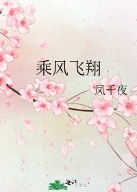 《乘風飛翔》