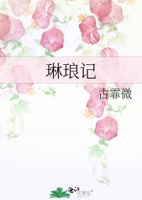 琳琅記