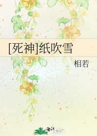 [死神]纸吹雪
