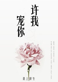 《许我宠你》