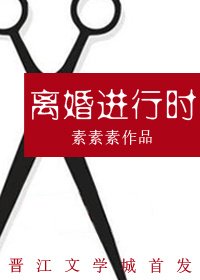 離婚進行時