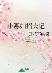 小寡妇招夫记