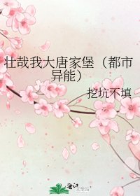 《壯哉我大唐家堡(都市異能)》