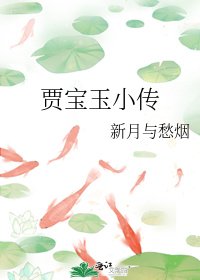 《賈寶玉小傳》