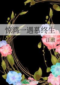 《惊鸿一遇慕终生》