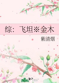 《綜:飛坦※金木》