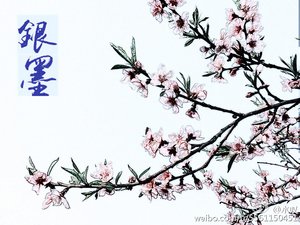 《銀墨》