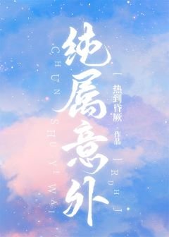 《纯属意外》
