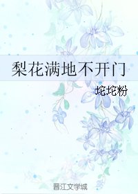 《梨花满地不开门》