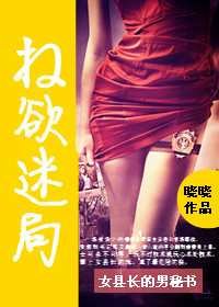 女县长的男秘书权欲迷局