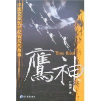 《中国空军创世纪背后的故事:鹰神(出书版)》