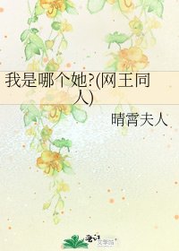 《我是哪個她?(網王同人)》