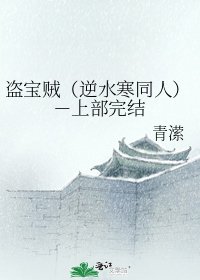 《盜寶賊(逆水寒同人)-上部》