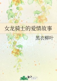 《女龙骑士的爱情故事》