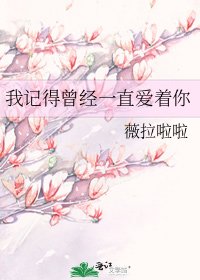 《我記得曾經一直愛著你》