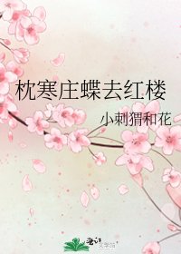 《枕寒庄蝶去红楼》