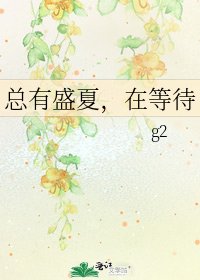 《总有盛夏,在等待》