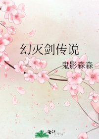 幻灭剑传说