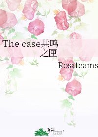 《The case共鸣之匣》