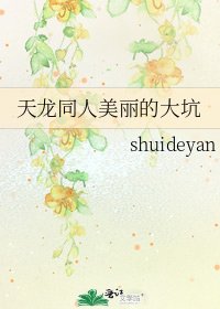 《天龙同人美丽的大坑》