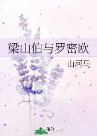 《梁山伯与罗密欧》