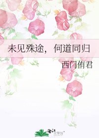 《未见殊途,何道同归》