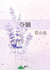 《奪嫡》