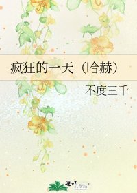 《瘋狂的一天(哈赫)》