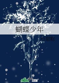 《蝴蝶少年》
