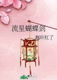《流星蝴蝶剑》