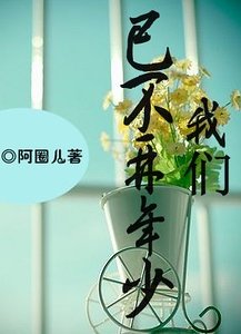 《我们已不再年少》