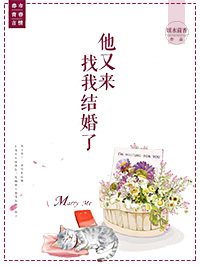 《他又来找我结婚了》