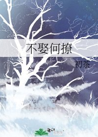 《不娶何撩》