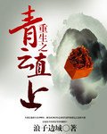 《重生之青雲直上》