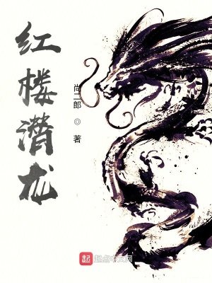《红楼潜龙》