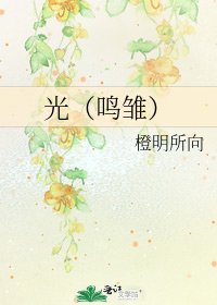 《光(鸣雏)》