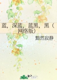 蓝,饵蓝,蓝黑,黑(网络版)