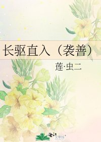 《长驱直入(袭善)》