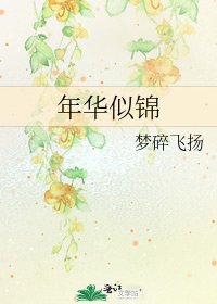 《年华似锦》