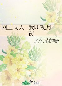 《网王同人--我叫观月初》