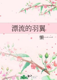 《漂流的羽翼》